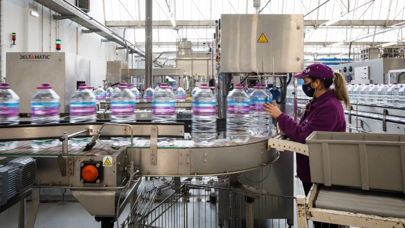 manchique factory